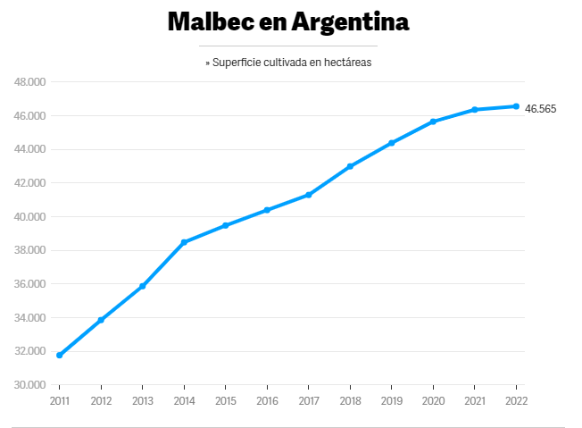 Мальбек в Аргентине